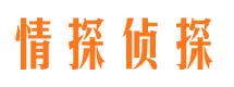 北塔找人公司